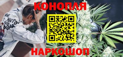 стафф Краснознаменск