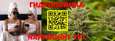 стафф Краснознаменск