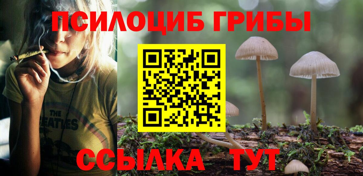 Кимры  Псилоцибиновые грибы Psilocybine cubensis  Вход с VPN 