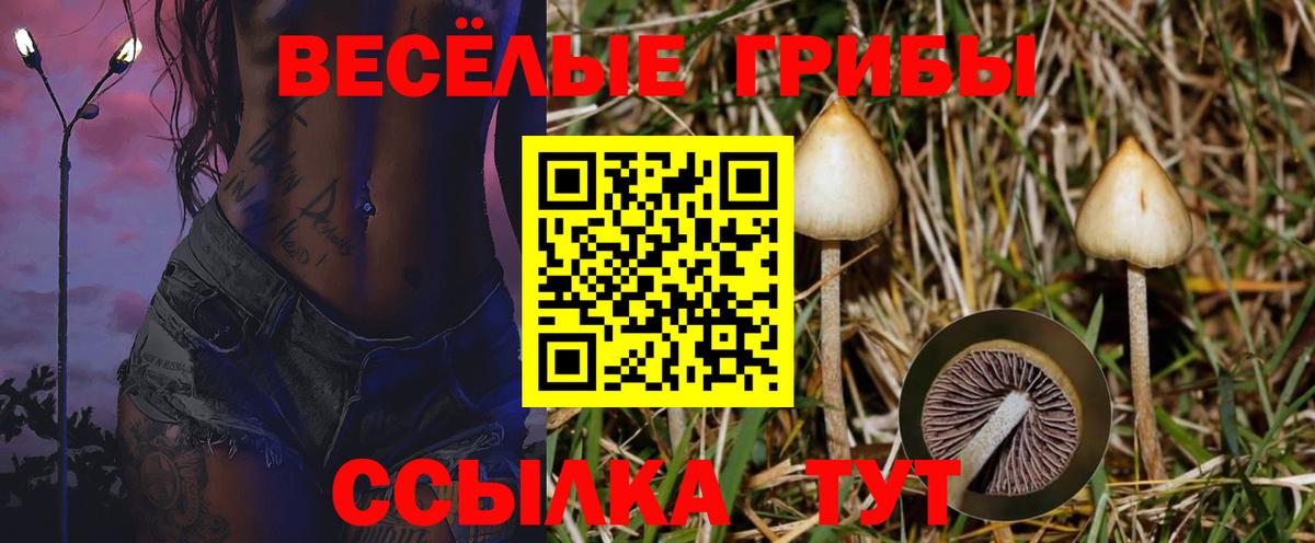 Галлюциногенные грибы MAGIC MUSHROOMS Кимры